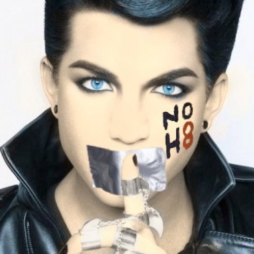 adam lambert dancers noh8 
